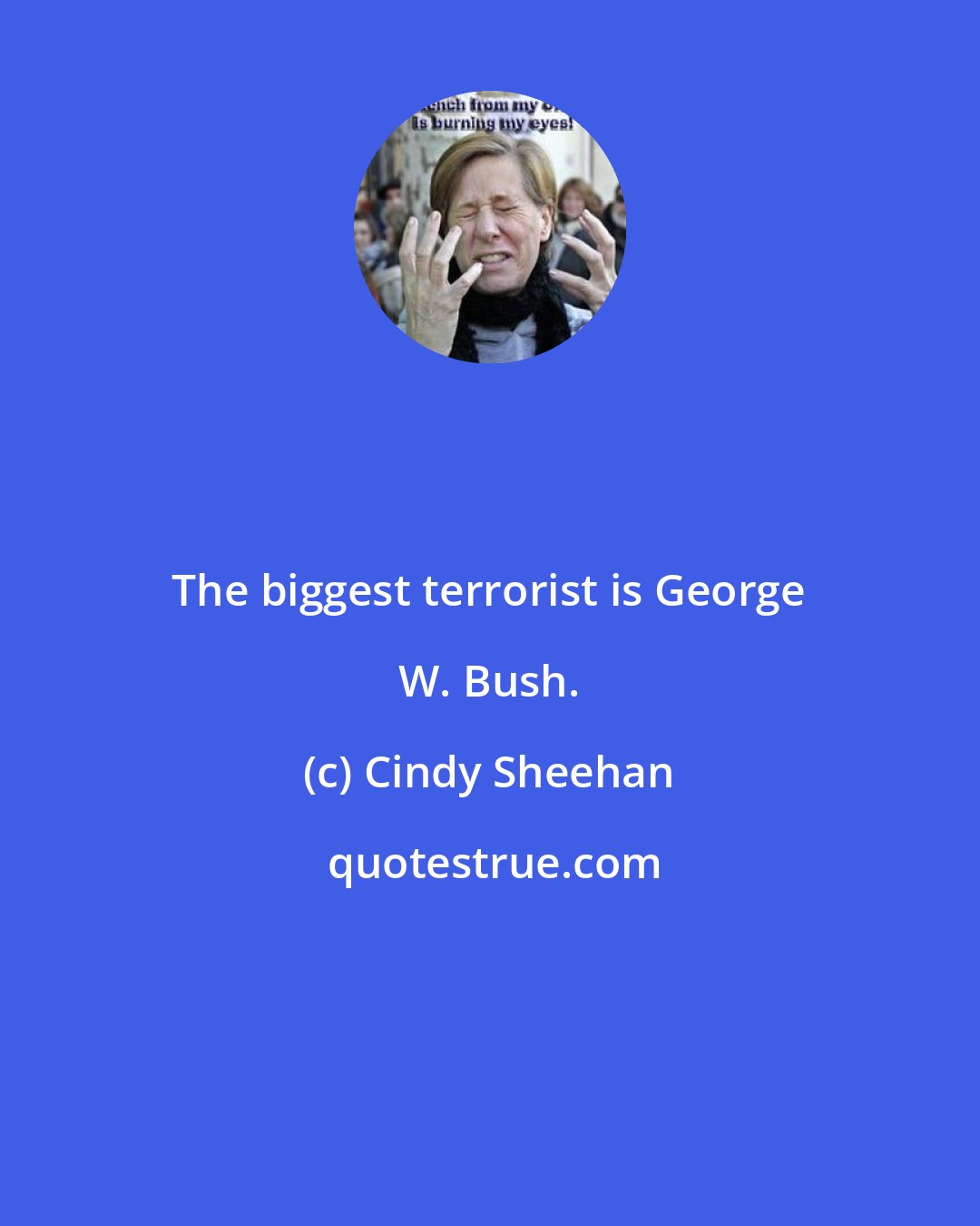 Cindy Sheehan: The biggest terrorist is George W. Bush.