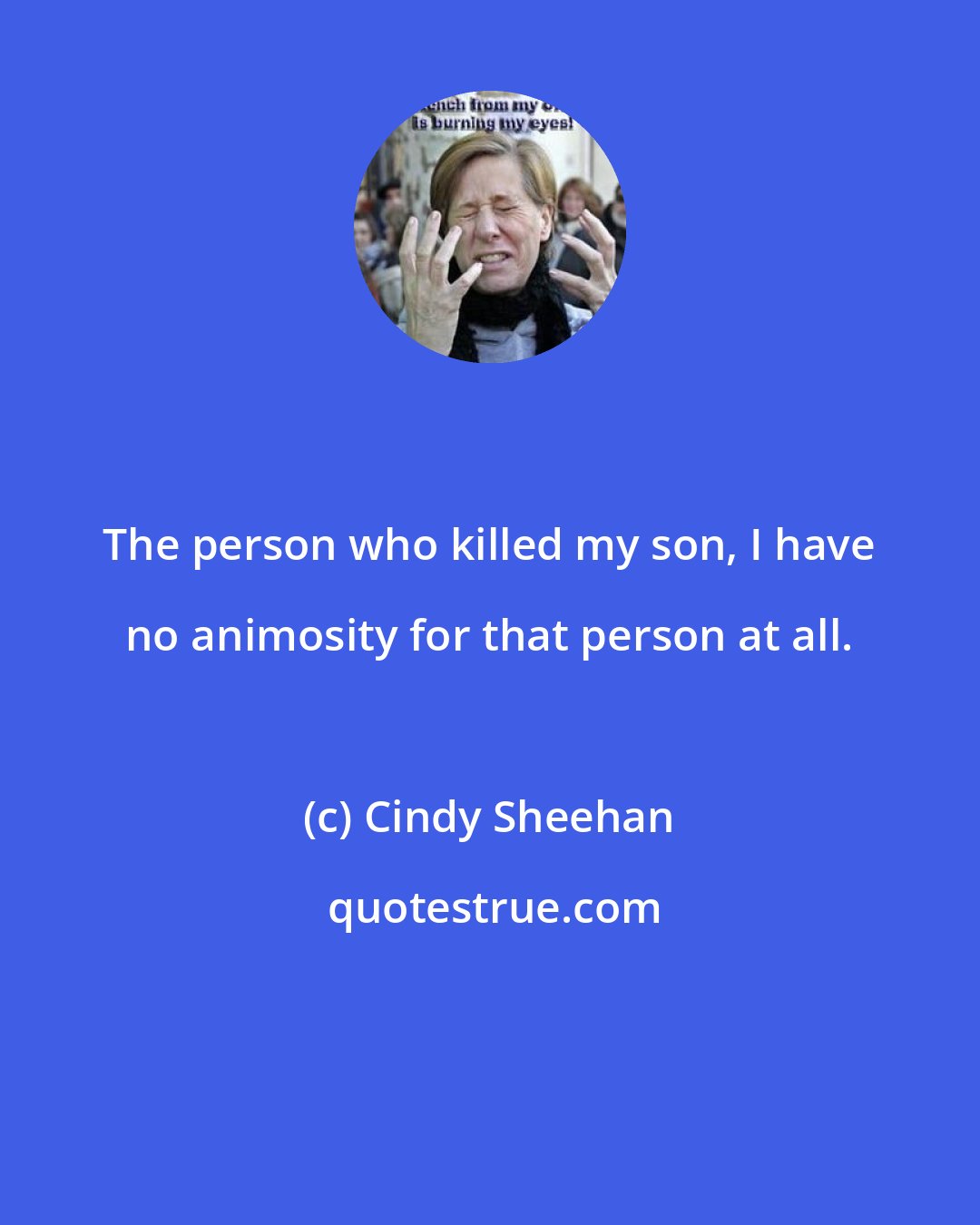 Cindy Sheehan: The person who killed my son, I have no animosity for that person at all.