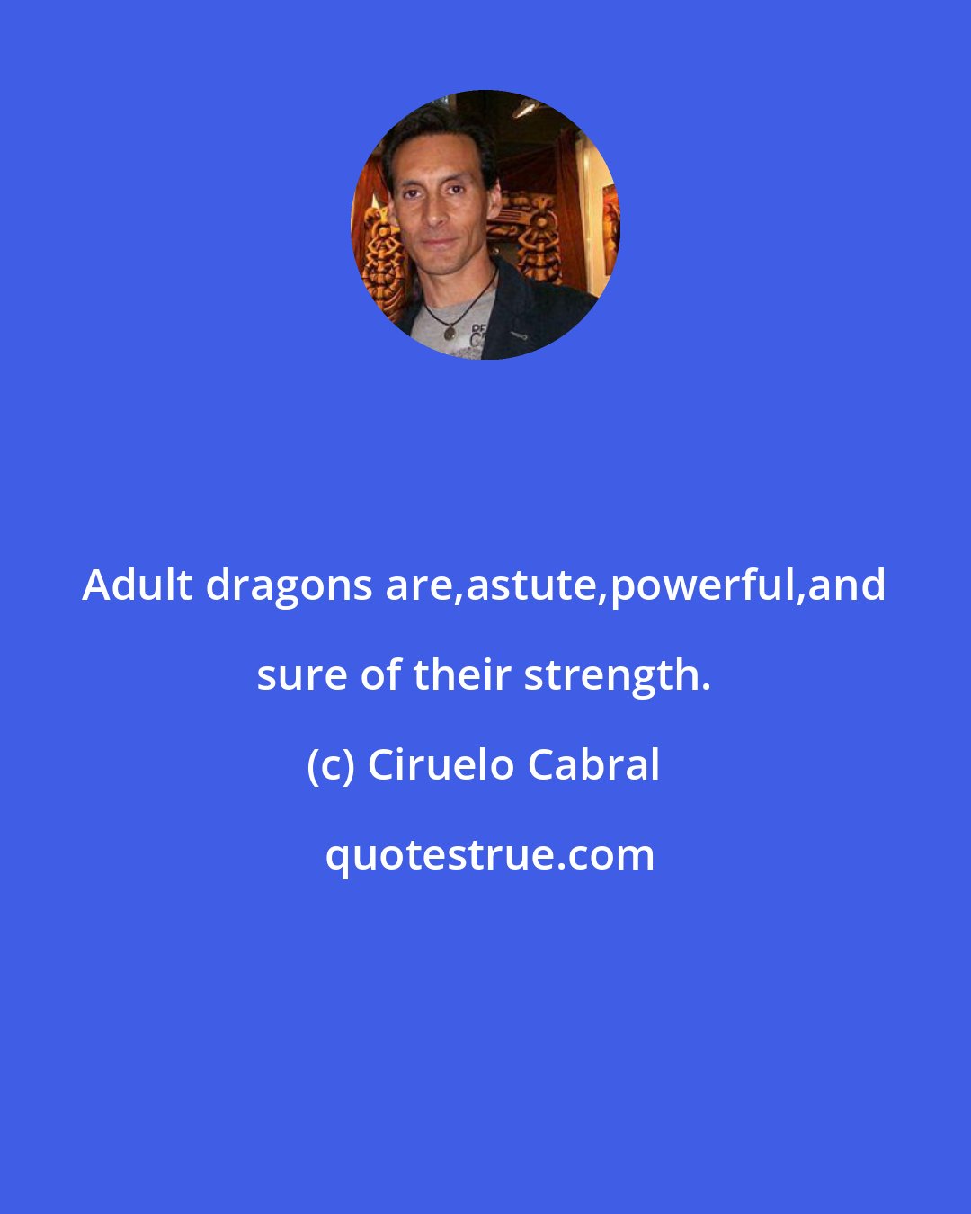 Ciruelo Cabral: Adult dragons are,astute,powerful,and sure of their strength.