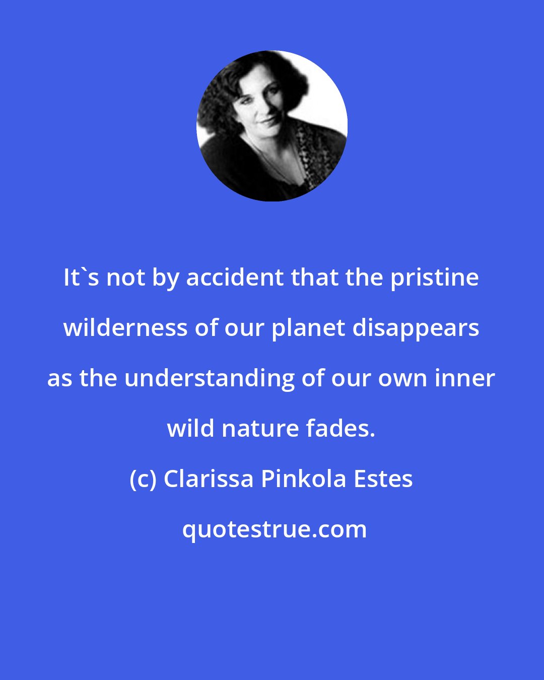 Clarissa Pinkola Estes: It's not by accident that the pristine wilderness of our planet disappears as the understanding of our own inner wild nature fades.