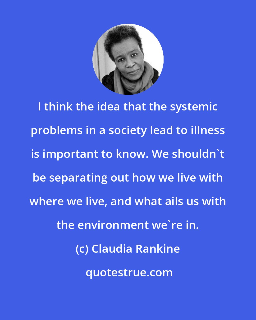 Claudia Rankine: I think the idea that the systemic problems in a society lead to illness is important to know. We shouldn't be separating out how we live with where we live, and what ails us with the environment we're in.