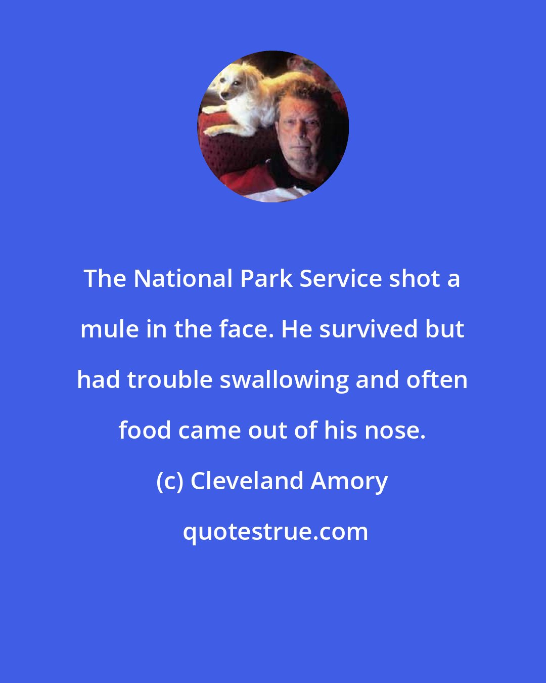 Cleveland Amory: The National Park Service shot a mule in the face. He survived but had trouble swallowing and often food came out of his nose.