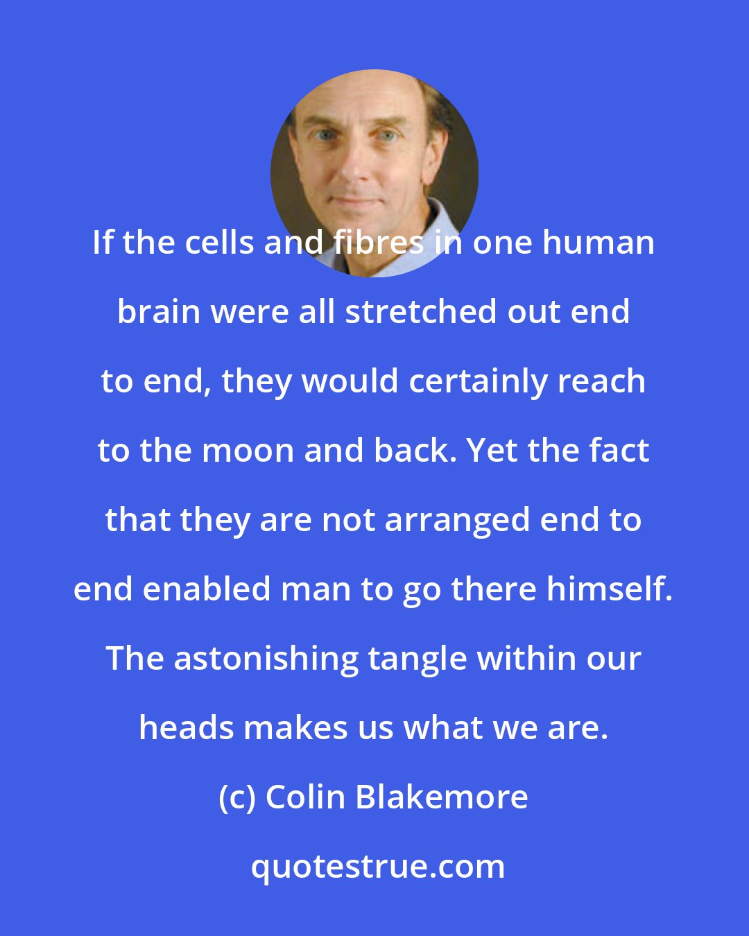 Colin Blakemore: If the cells and fibres in one human brain were all stretched out end to end, they would certainly reach to the moon and back. Yet the fact that they are not arranged end to end enabled man to go there himself. The astonishing tangle within our heads makes us what we are.
