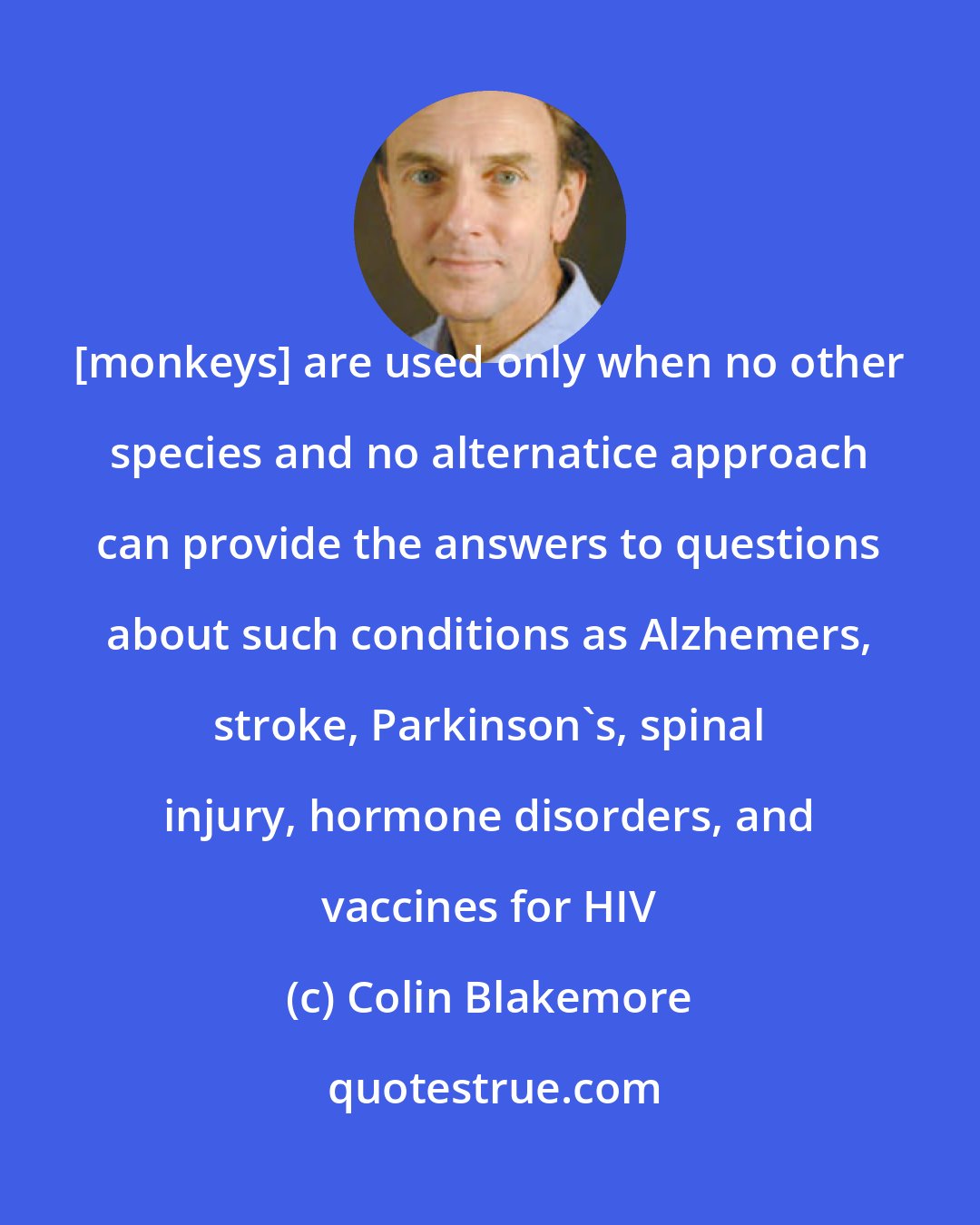 Colin Blakemore: [monkeys] are used only when no other species and no alternatice approach can provide the answers to questions about such conditions as Alzhemers, stroke, Parkinson's, spinal injury, hormone disorders, and vaccines for HIV