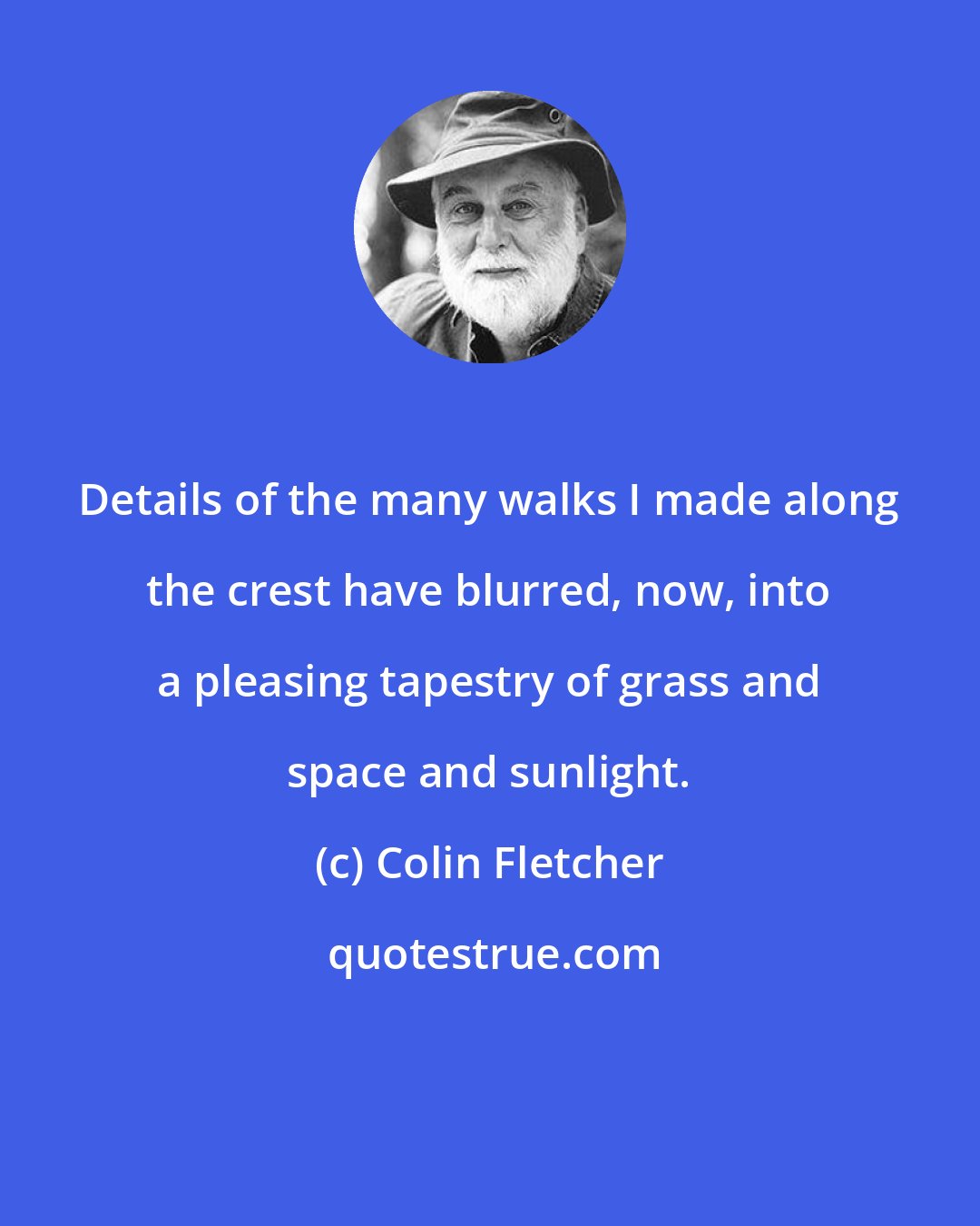 Colin Fletcher: Details of the many walks I made along the crest have blurred, now, into a pleasing tapestry of grass and space and sunlight.