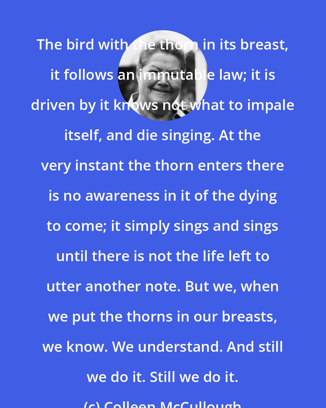 Colleen McCullough: The bird with the thorn in its breast, it follows an immutable law; it is driven by it knows not what to impale itself, and die singing. At the very instant the thorn enters there is no awareness in it of the dying to come; it simply sings and sings until there is not the life left to utter another note. But we, when we put the thorns in our breasts, we know. We understand. And still we do it. Still we do it.