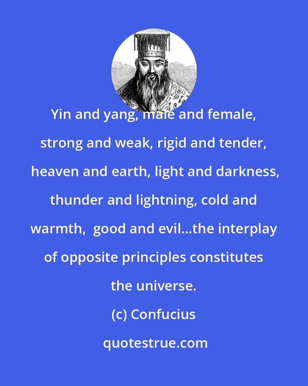 Confucius: Yin and yang, male and female, strong and weak, rigid and tender,  heaven and earth, light and darkness, thunder and lightning, cold and warmth,  good and evil...the interplay of opposite principles constitutes the universe.