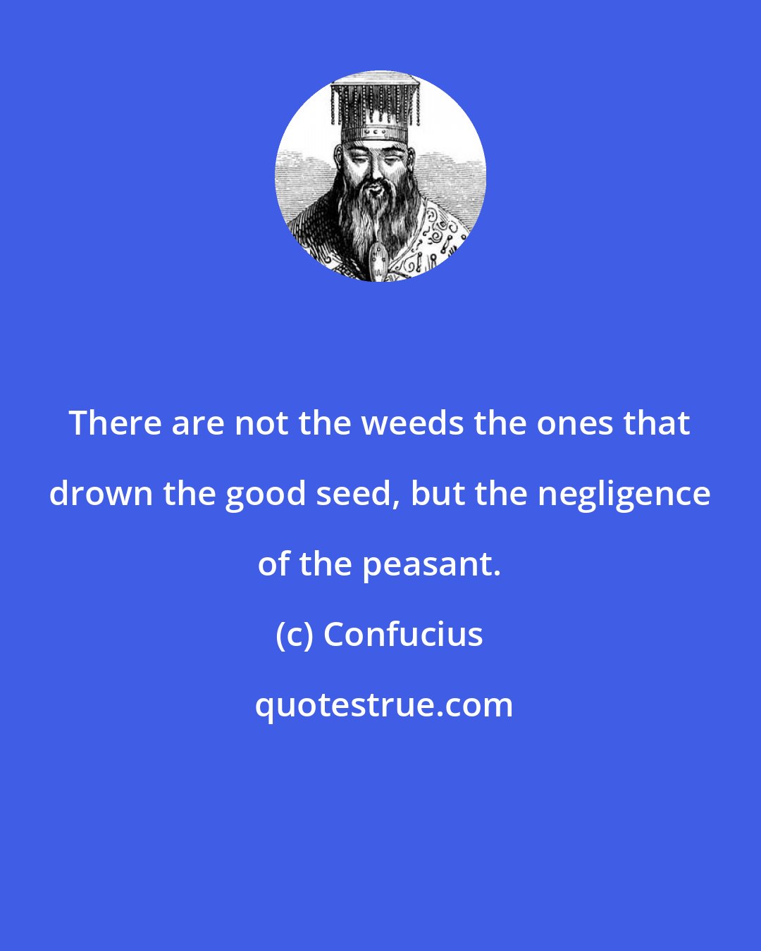 Confucius: There are not the weeds the ones that drown the good seed, but the negligence of the peasant.