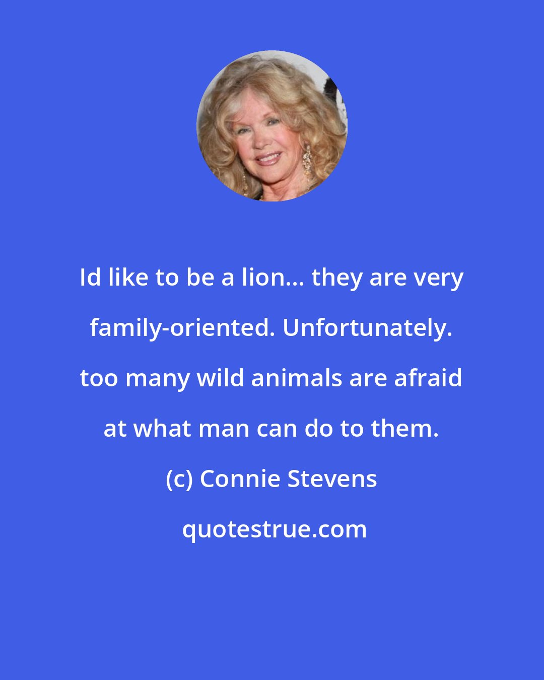 Connie Stevens: Id like to be a lion... they are very family-oriented. Unfortunately. too many wild animals are afraid at what man can do to them.