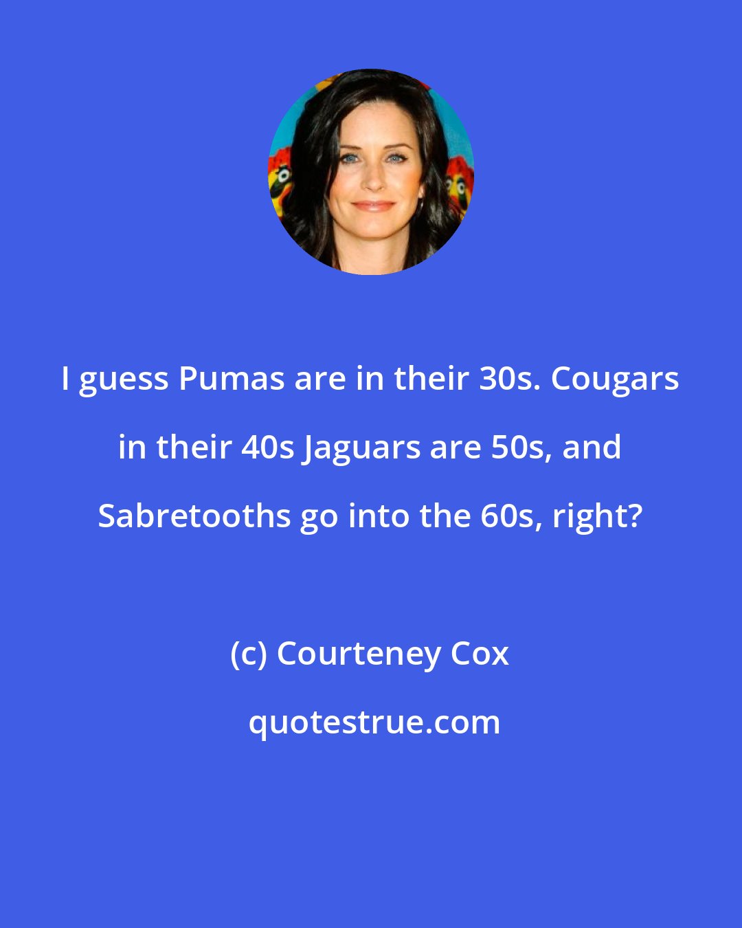 Courteney Cox: I guess Pumas are in their 30s. Cougars in their 40s Jaguars are 50s, and Sabretooths go into the 60s, right?