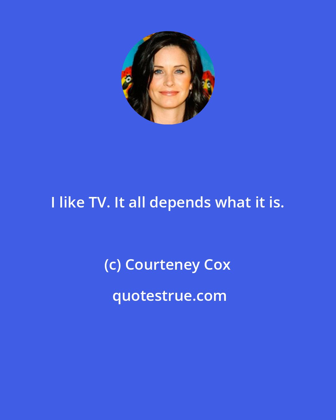 Courteney Cox: I like TV. It all depends what it is.