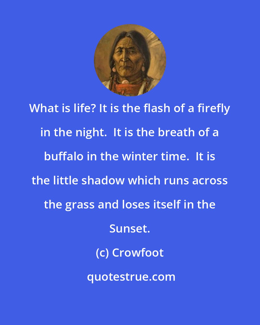 Crowfoot: What is life? It is the flash of a firefly in the night.  It is the breath of a buffalo in the winter time.  It is the little shadow which runs across the grass and loses itself in the Sunset.