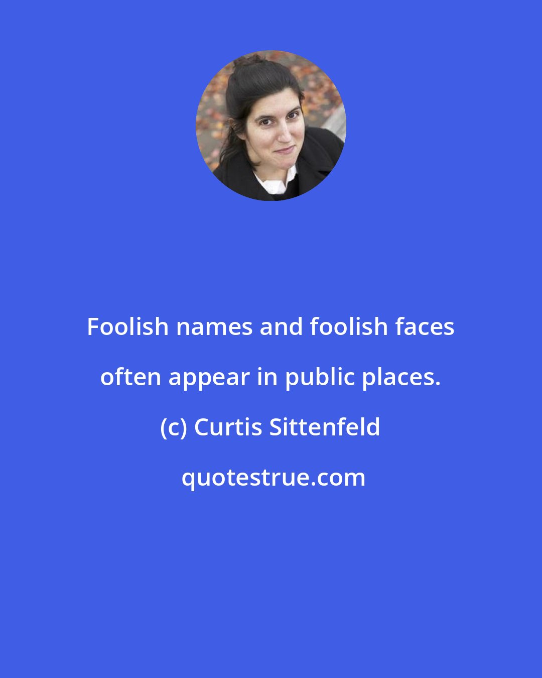 Curtis Sittenfeld: Foolish names and foolish faces often appear in public places.