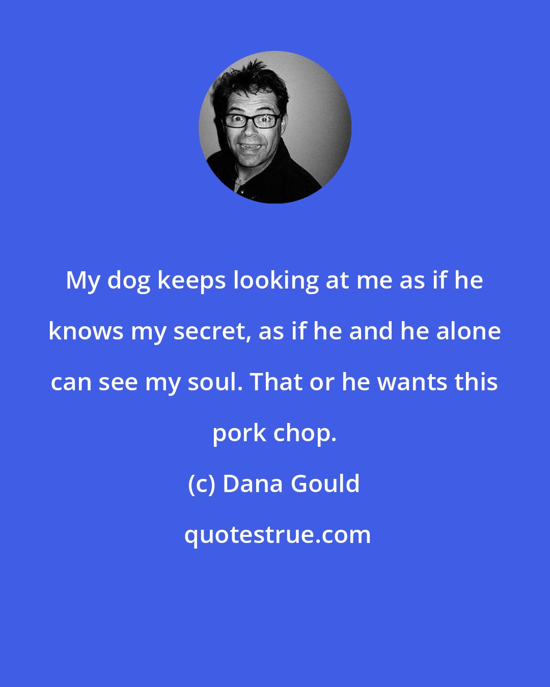 Dana Gould: My dog keeps looking at me as if he knows my secret, as if he and he alone can see my soul. That or he wants this pork chop.