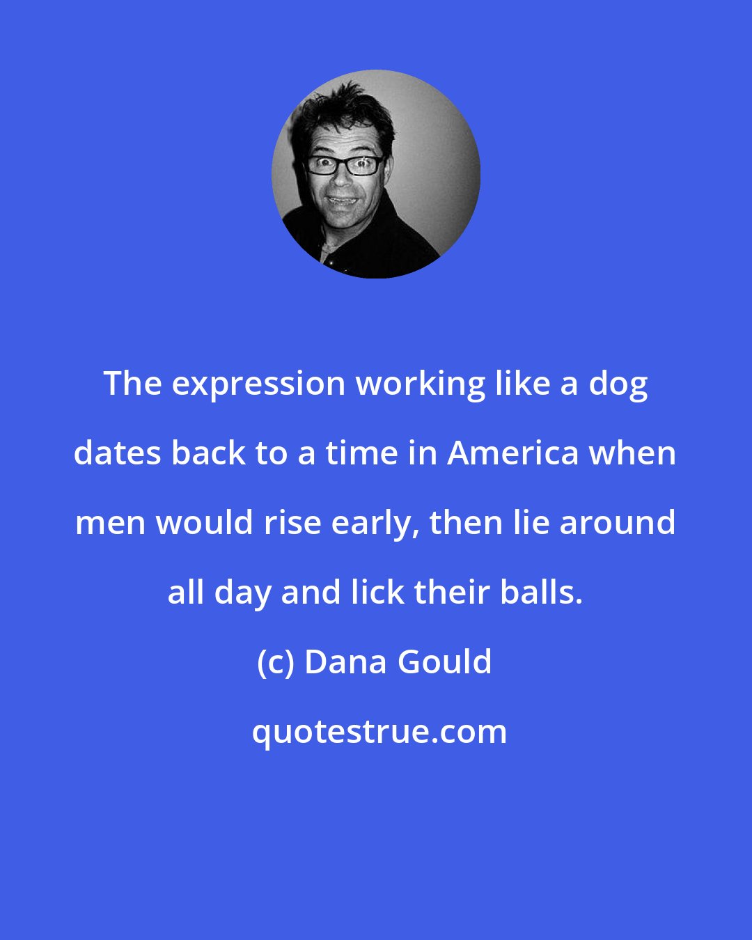 Dana Gould: The expression working like a dog dates back to a time in America when men would rise early, then lie around all day and lick their balls.