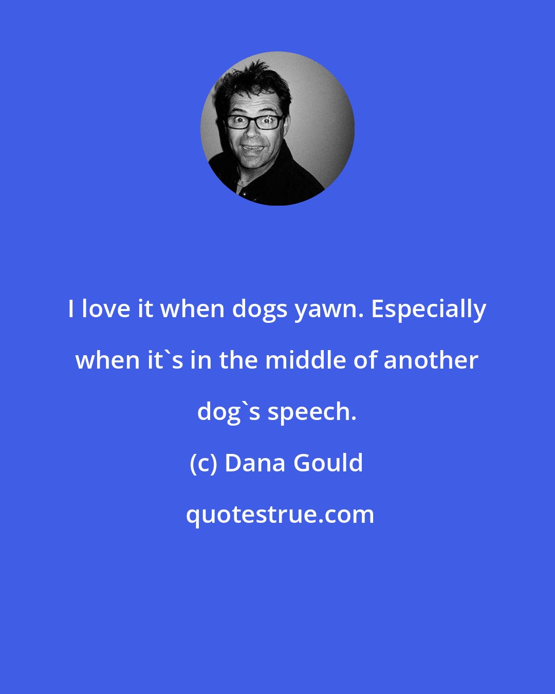 Dana Gould: I love it when dogs yawn. Especially when it's in the middle of another dog's speech.