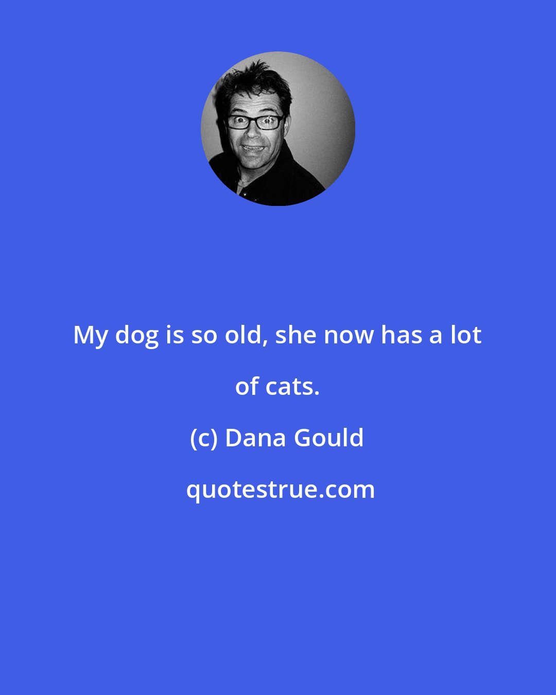 Dana Gould: My dog is so old, she now has a lot of cats.