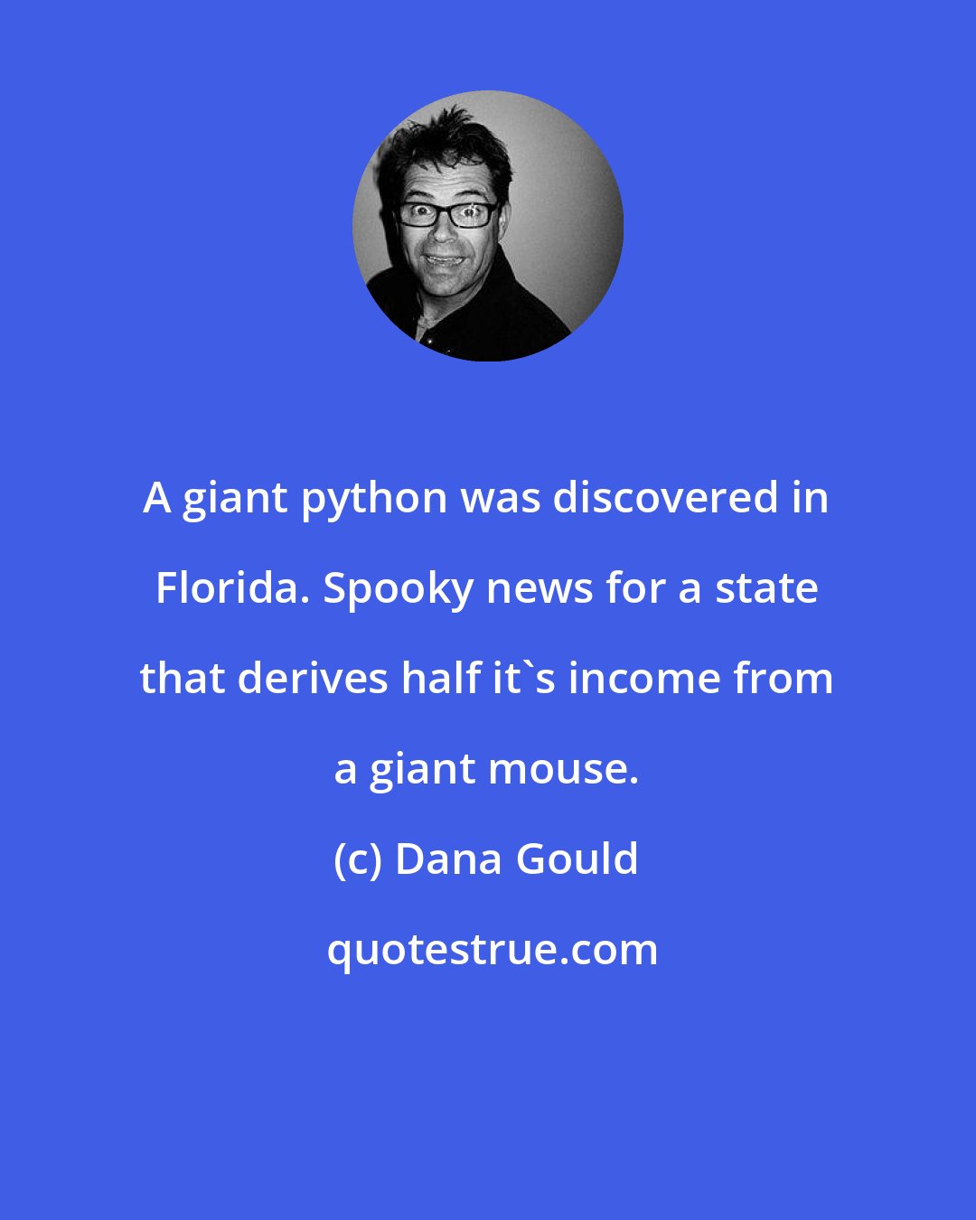 Dana Gould: A giant python was discovered in Florida. Spooky news for a state that derives half it's income from a giant mouse.