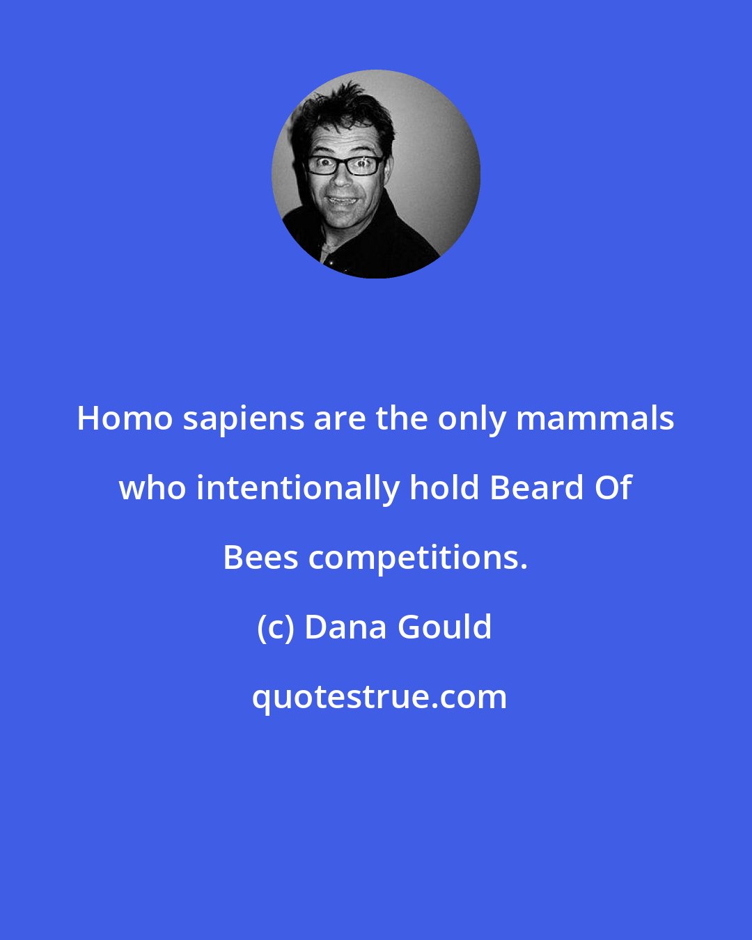 Dana Gould: Homo sapiens are the only mammals who intentionally hold Beard Of Bees competitions.