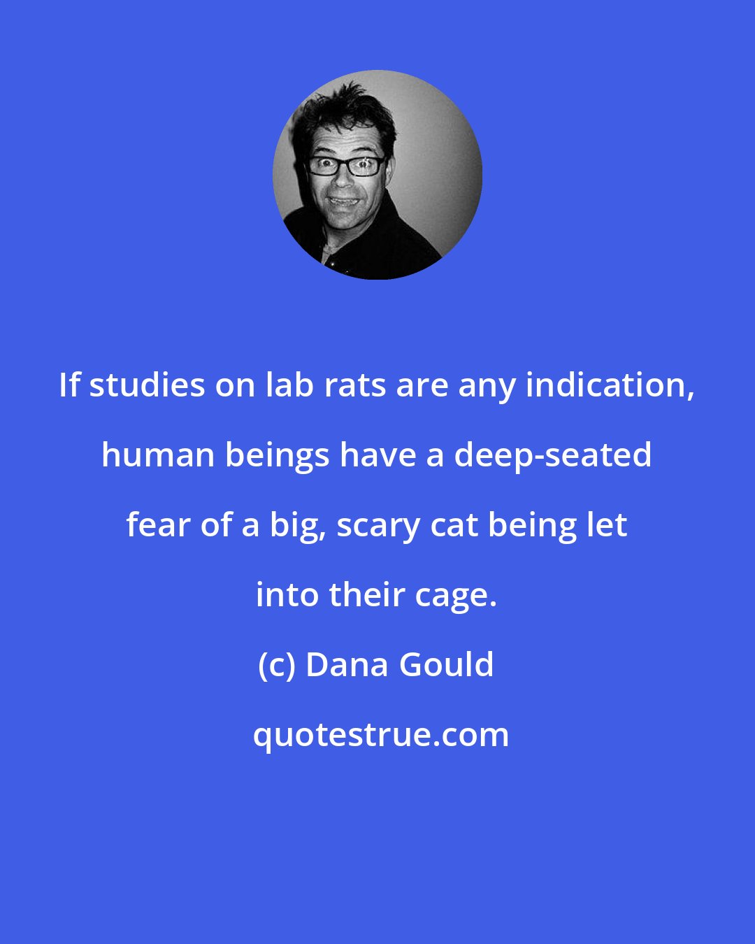 Dana Gould: If studies on lab rats are any indication, human beings have a deep-seated fear of a big, scary cat being let into their cage.