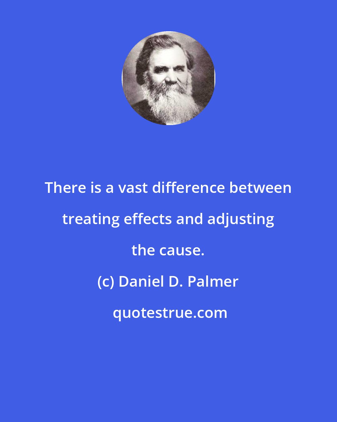 Daniel D. Palmer: There is a vast difference between treating effects and adjusting the cause.