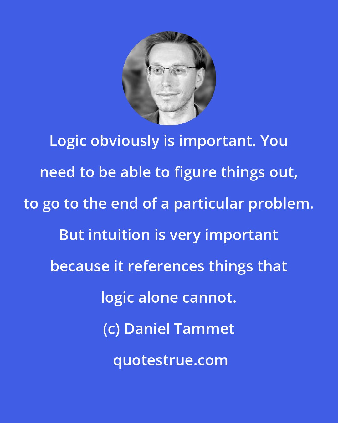 Daniel Tammet: Logic obviously is important. You need to be able to figure things out, to go to the end of a particular problem. But intuition is very important because it references things that logic alone cannot.