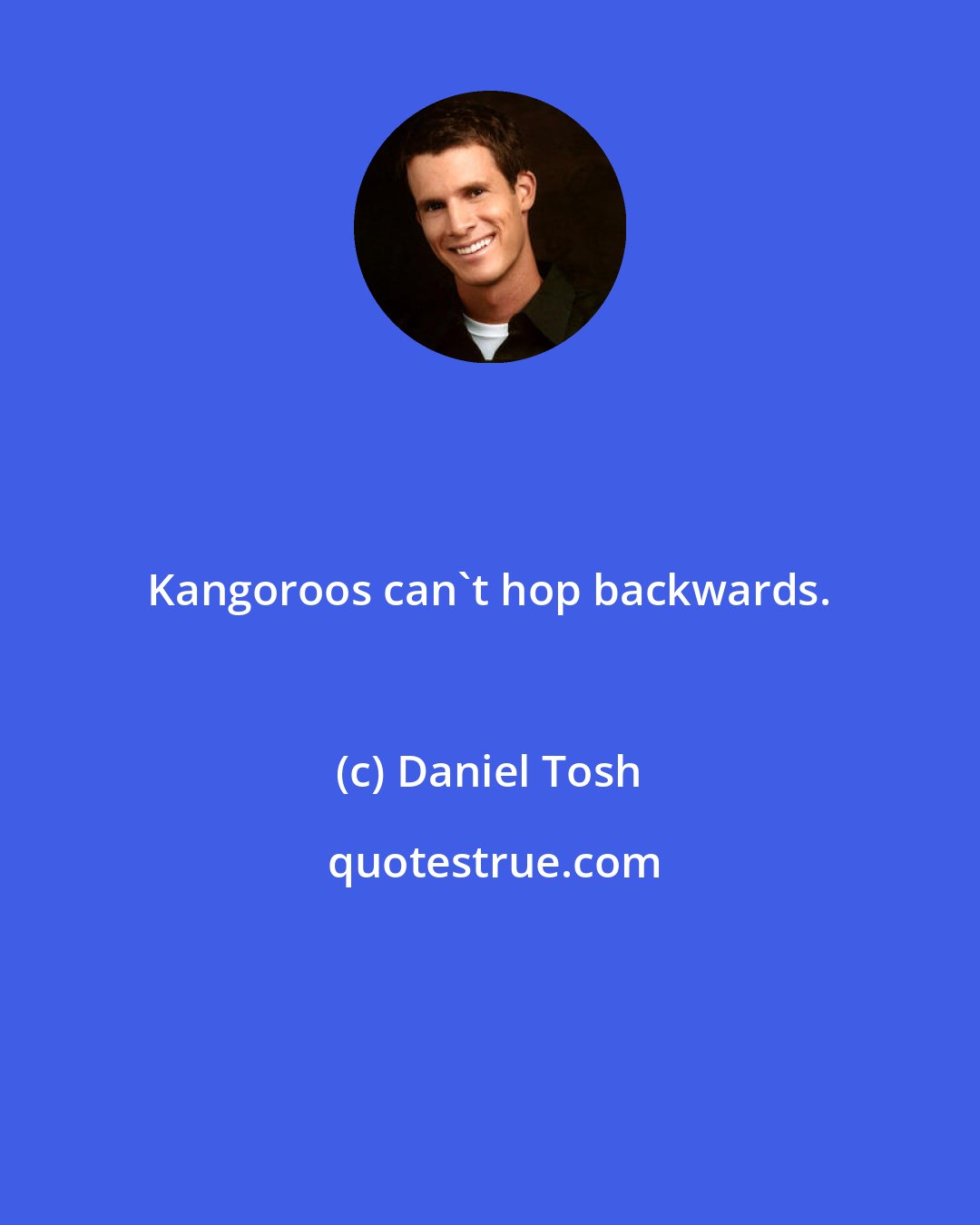 Daniel Tosh: Kangoroos can't hop backwards.