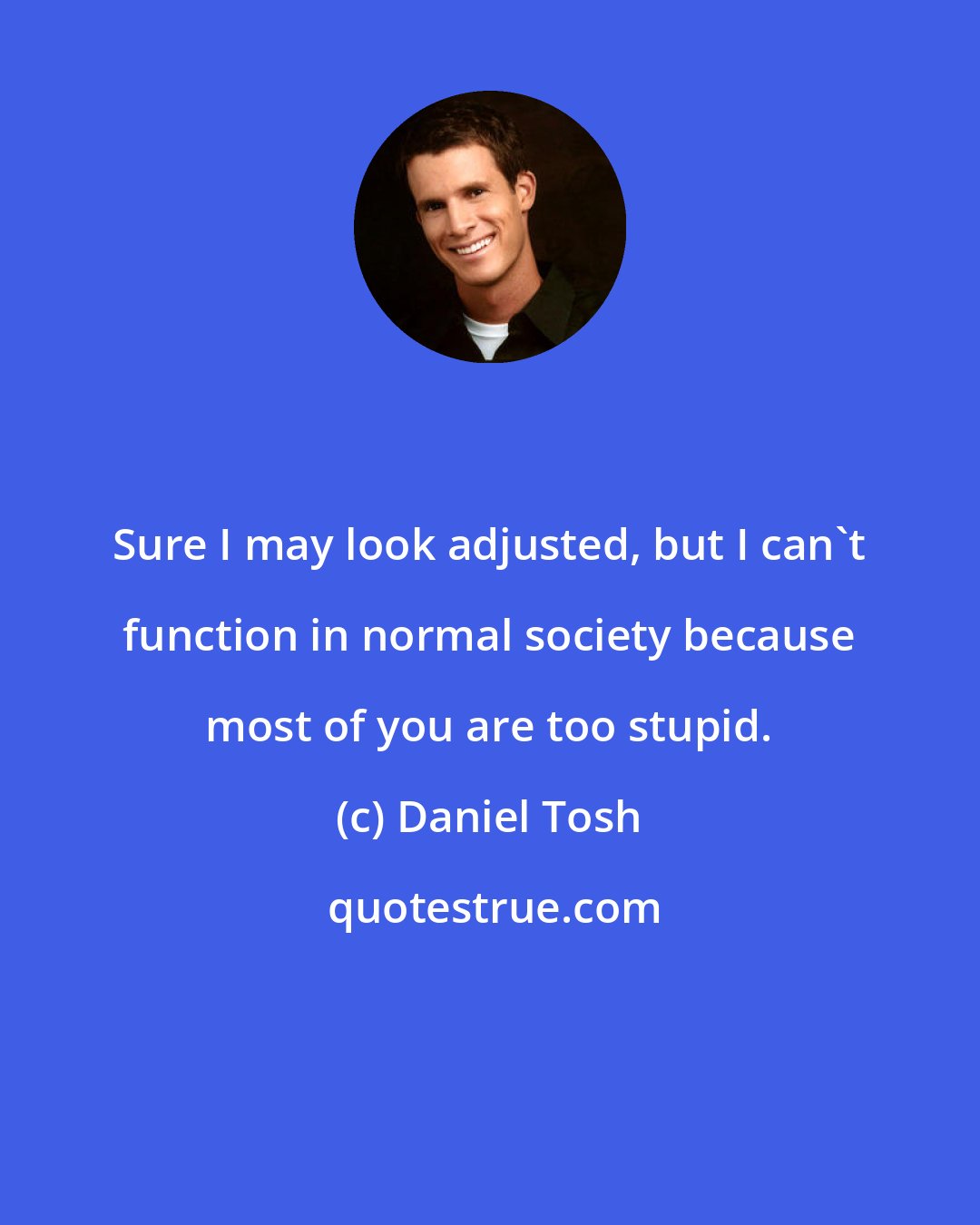 Daniel Tosh: Sure I may look adjusted, but I can't function in normal society because most of you are too stupid.