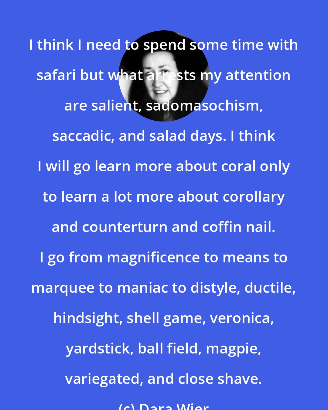 Dara Wier: I think I need to spend some time with safari but what arrests my attention are salient, sadomasochism, saccadic, and salad days. I think I will go learn more about coral only to learn a lot more about corollary and counterturn and coffin nail. I go from magnificence to means to marquee to maniac to distyle, ductile, hindsight, shell game, veronica, yardstick, ball field, magpie, variegated, and close shave.