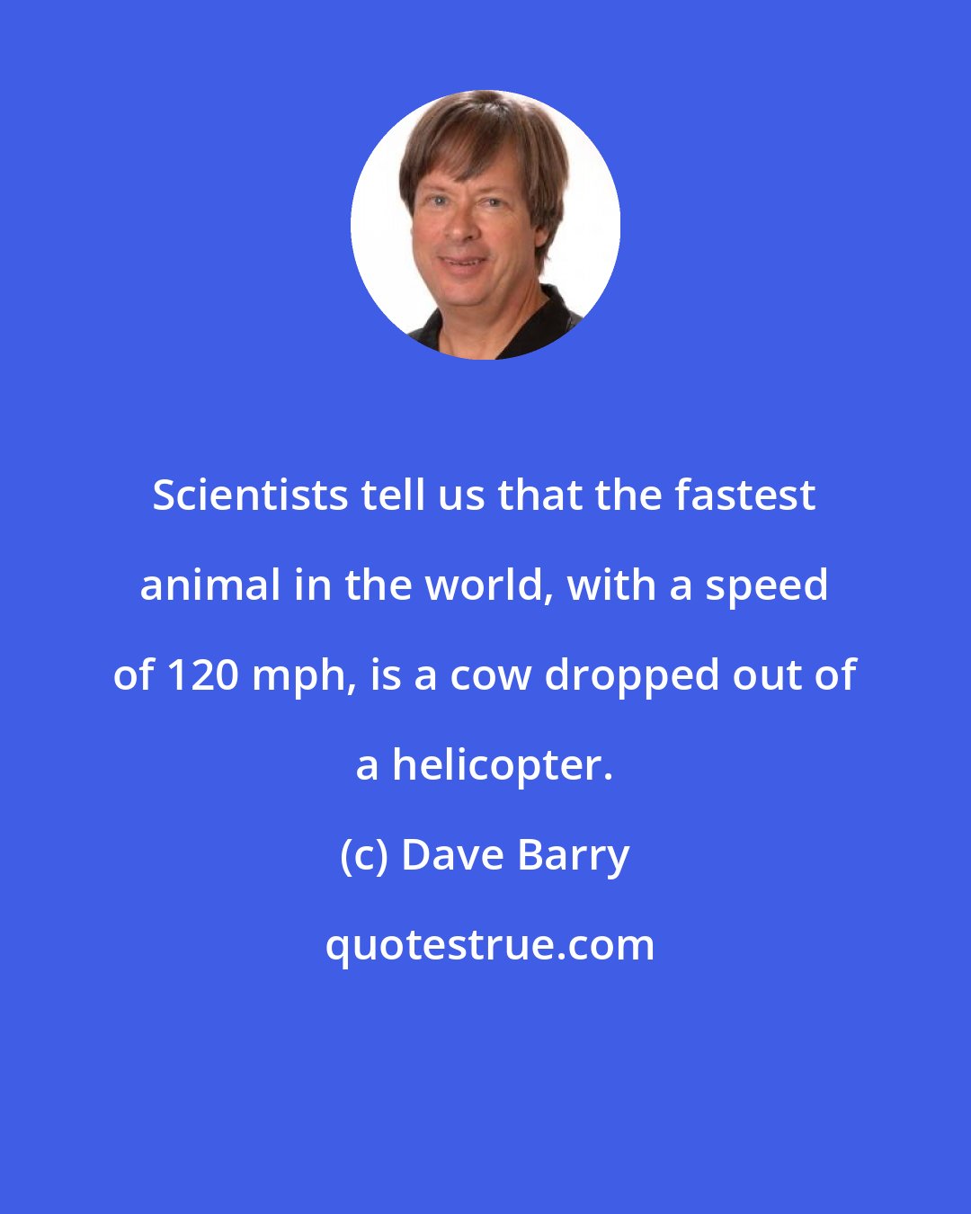 Dave Barry: Scientists tell us that the fastest animal in the world, with a speed of 120 mph, is a cow dropped out of a helicopter.