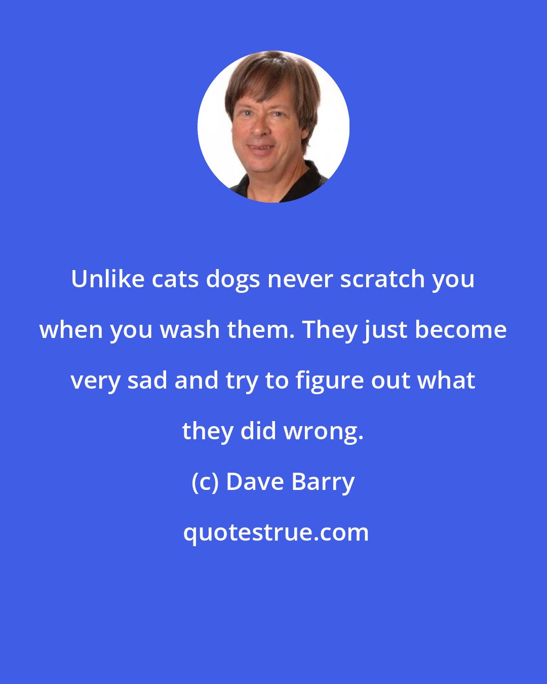 Dave Barry: Unlike cats dogs never scratch you when you wash them. They just become very sad and try to figure out what they did wrong.