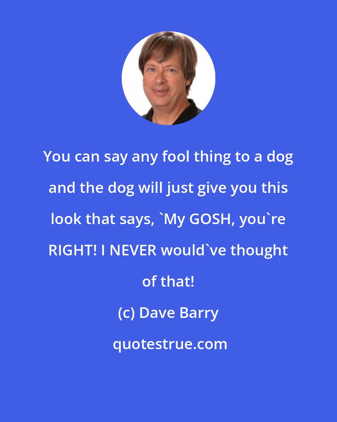 Dave Barry: You can say any fool thing to a dog and the dog will just give you this look that says, 'My GOSH, you're RIGHT! I NEVER would've thought of that!