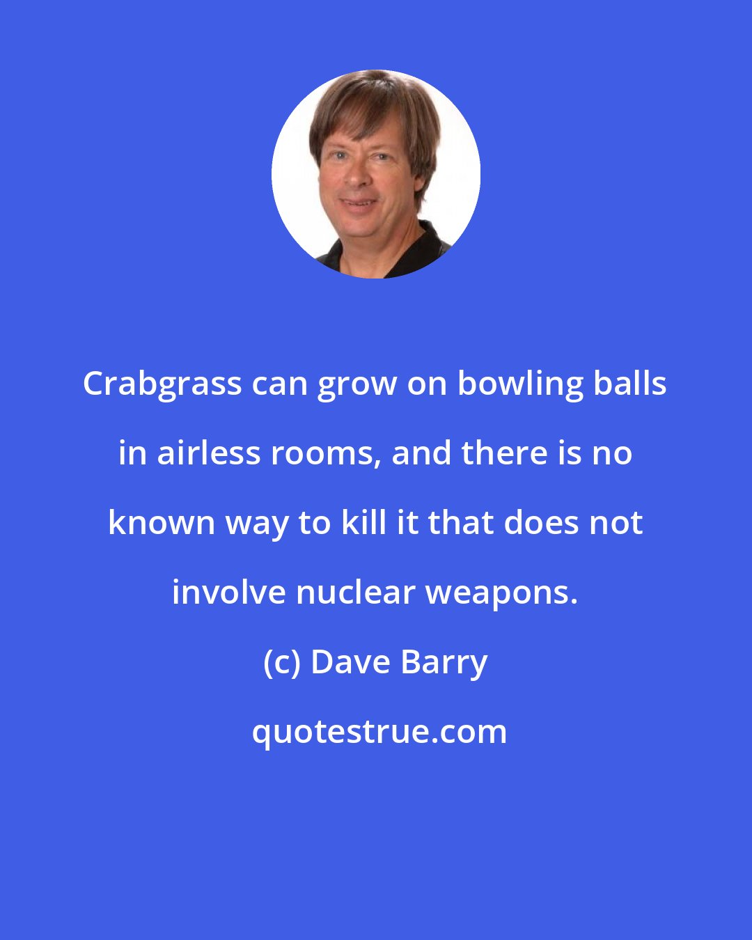 Dave Barry: Crabgrass can grow on bowling balls in airless rooms, and there is no known way to kill it that does not involve nuclear weapons.