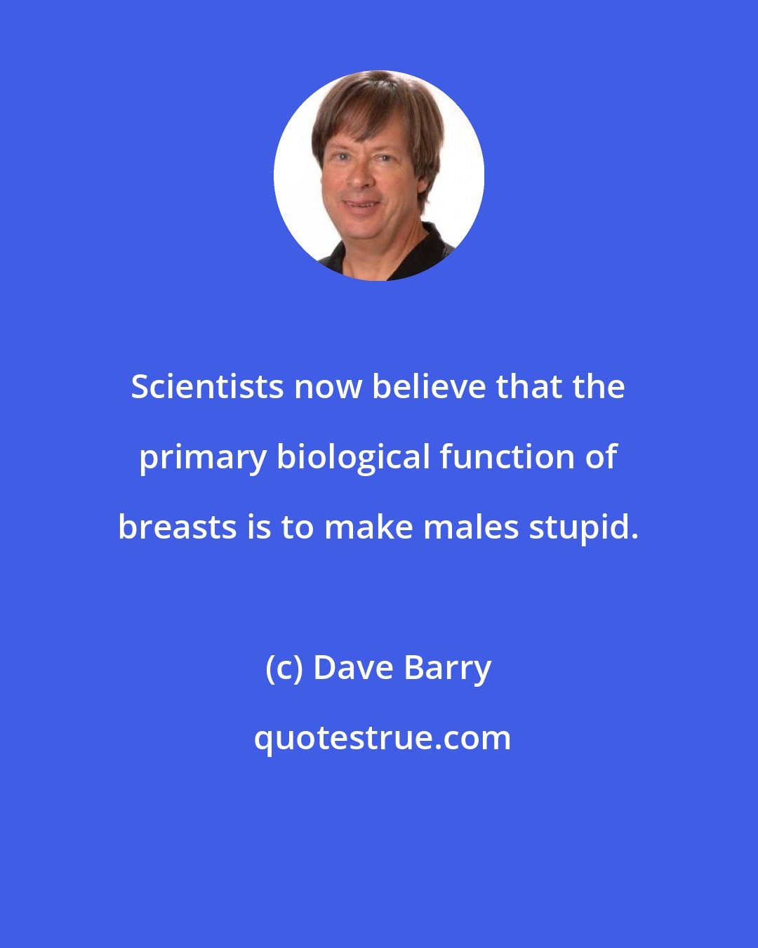 Dave Barry: Scientists now believe that the primary biological function of breasts is to make males stupid.