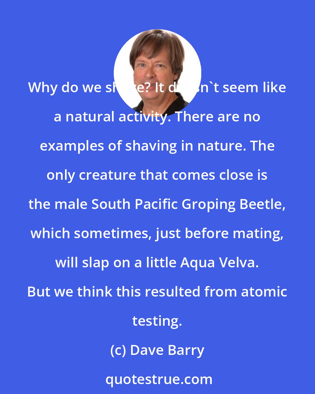 Dave Barry: Why do we shave? It doesn't seem like a natural activity. There are no examples of shaving in nature. The only creature that comes close is the male South Pacific Groping Beetle, which sometimes, just before mating, will slap on a little Aqua Velva. But we think this resulted from atomic testing.