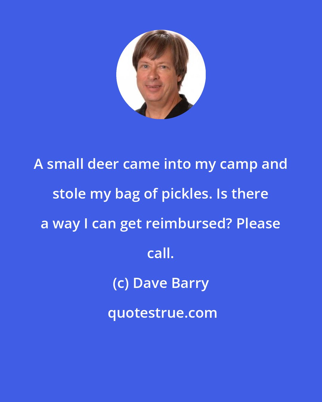 Dave Barry: A small deer came into my camp and stole my bag of pickles. Is there a way I can get reimbursed? Please call.