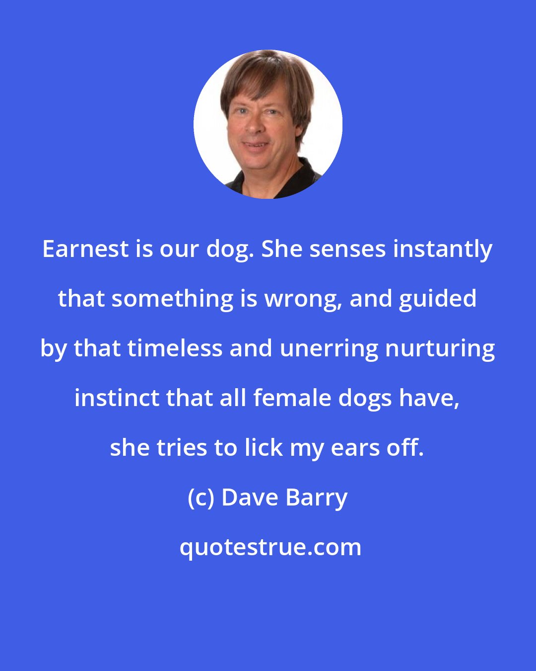 Dave Barry: Earnest is our dog. She senses instantly that something is wrong, and guided by that timeless and unerring nurturing instinct that all female dogs have, she tries to lick my ears off.