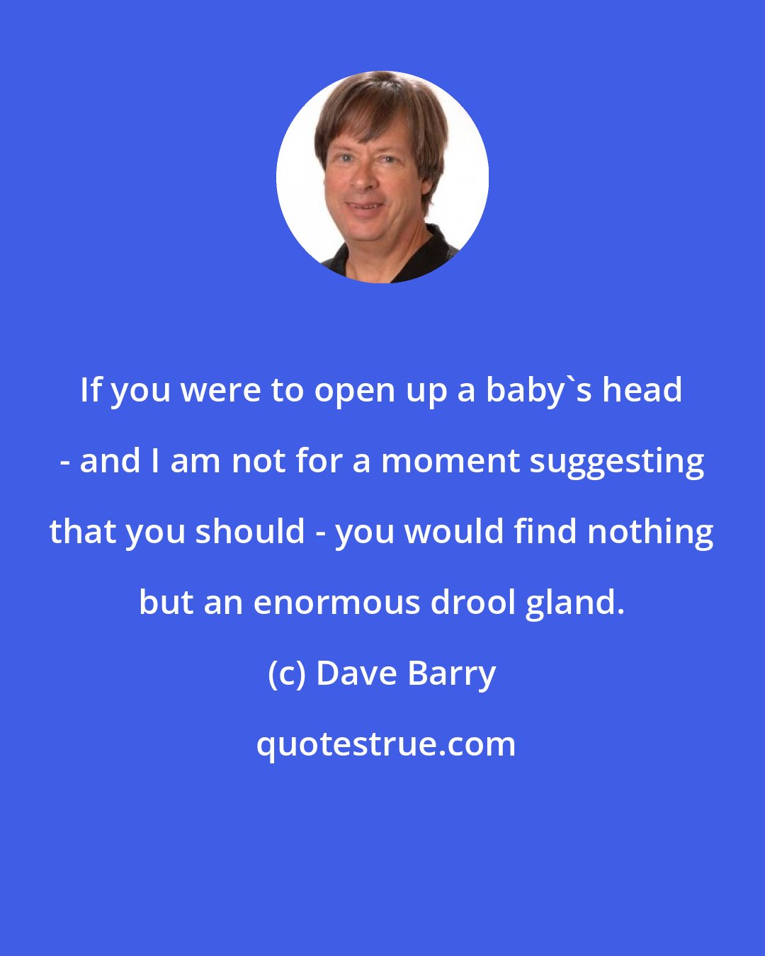 Dave Barry: If you were to open up a baby's head - and I am not for a moment suggesting that you should - you would find nothing but an enormous drool gland.