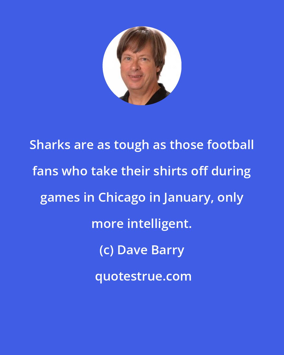 Dave Barry: Sharks are as tough as those football fans who take their shirts off during games in Chicago in January, only more intelligent.