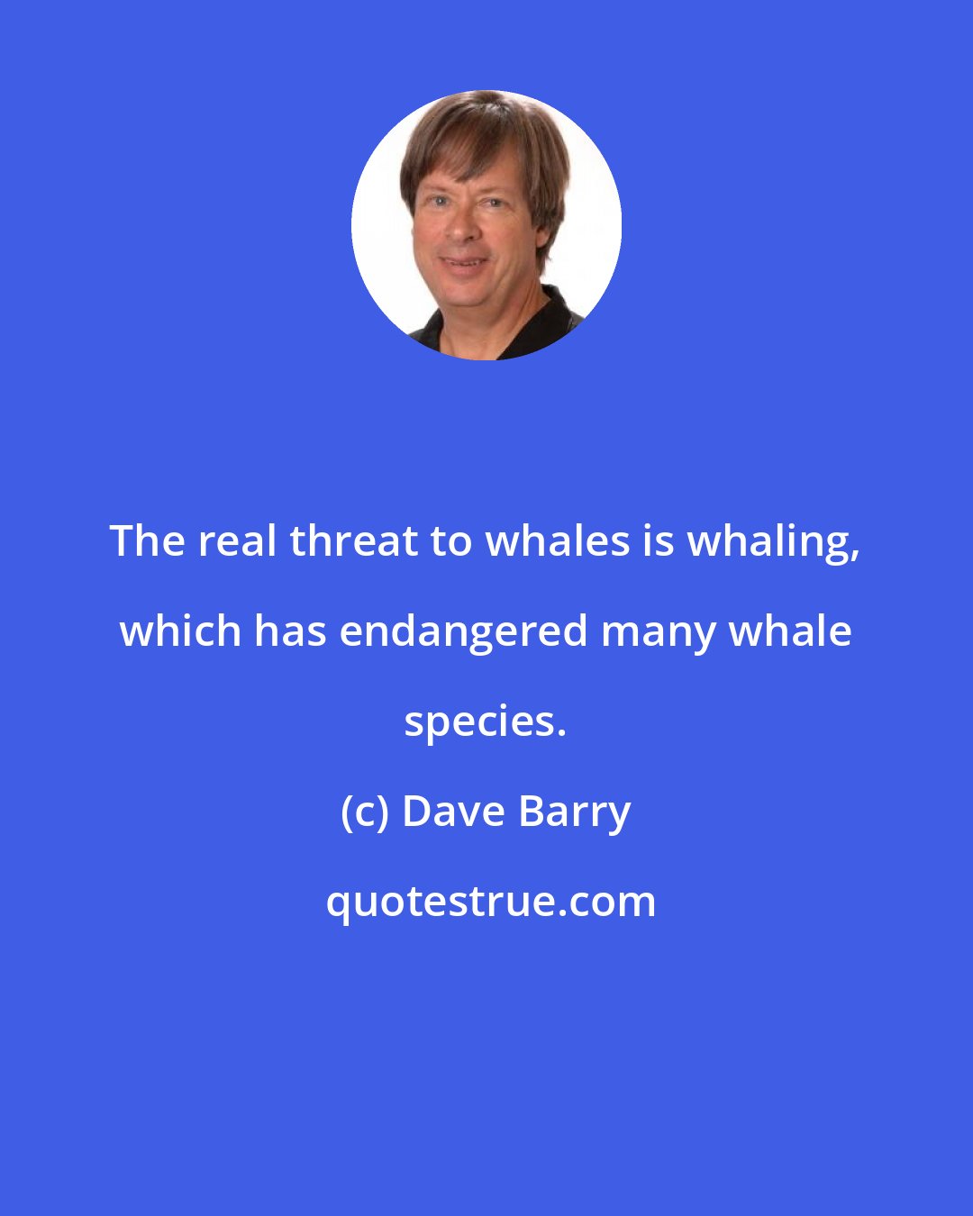 Dave Barry: The real threat to whales is whaling, which has endangered many whale species.