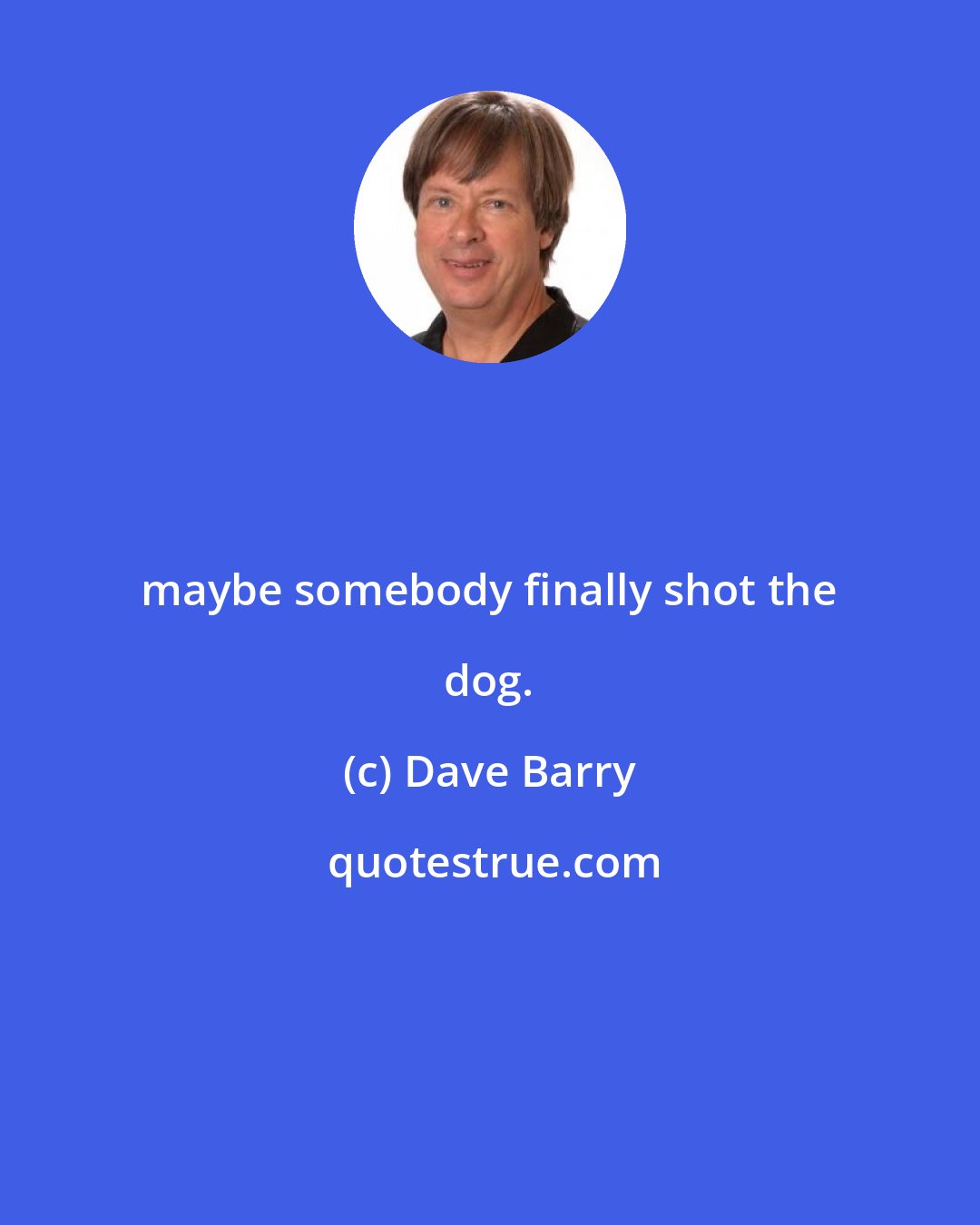 Dave Barry: maybe somebody finally shot the dog.