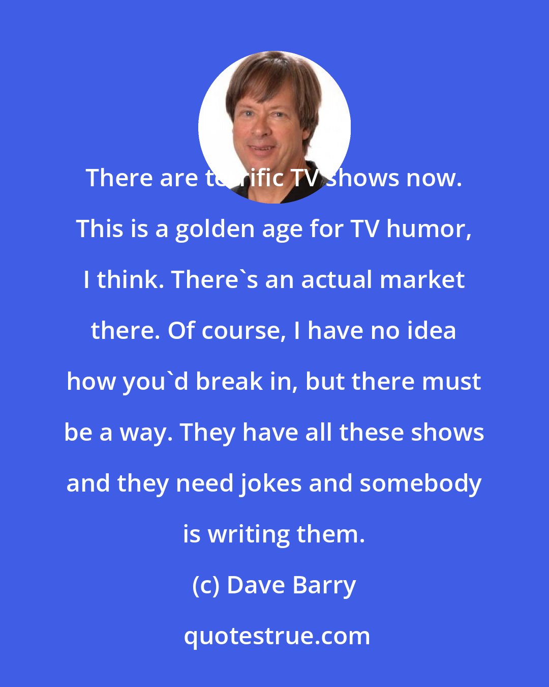 Dave Barry: There are terrific TV shows now. This is a golden age for TV humor, I think. There's an actual market there. Of course, I have no idea how you'd break in, but there must be a way. They have all these shows and they need jokes and somebody is writing them.