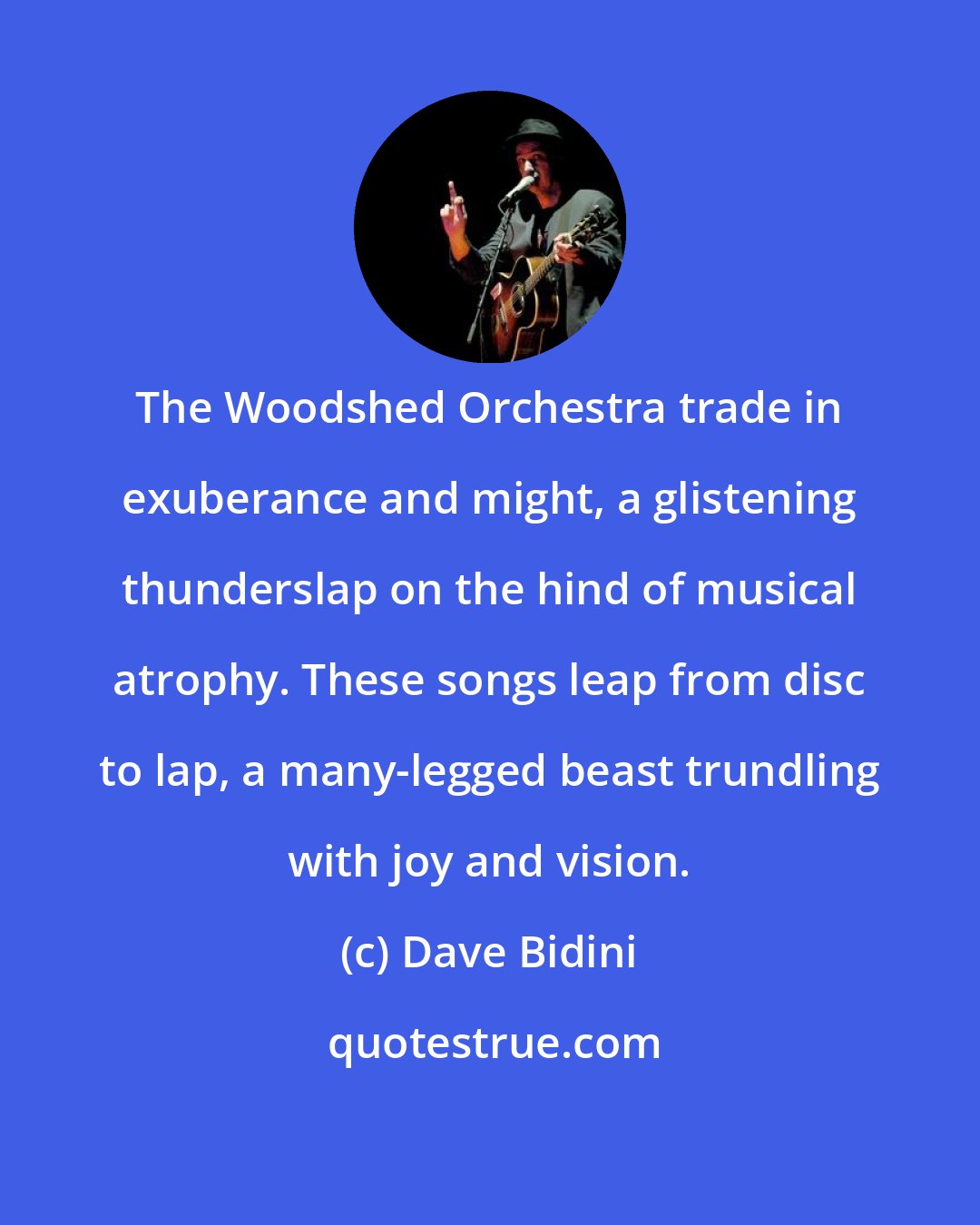 Dave Bidini: The Woodshed Orchestra trade in exuberance and might, a glistening thunderslap on the hind of musical atrophy. These songs leap from disc to lap, a many-legged beast trundling with joy and vision.