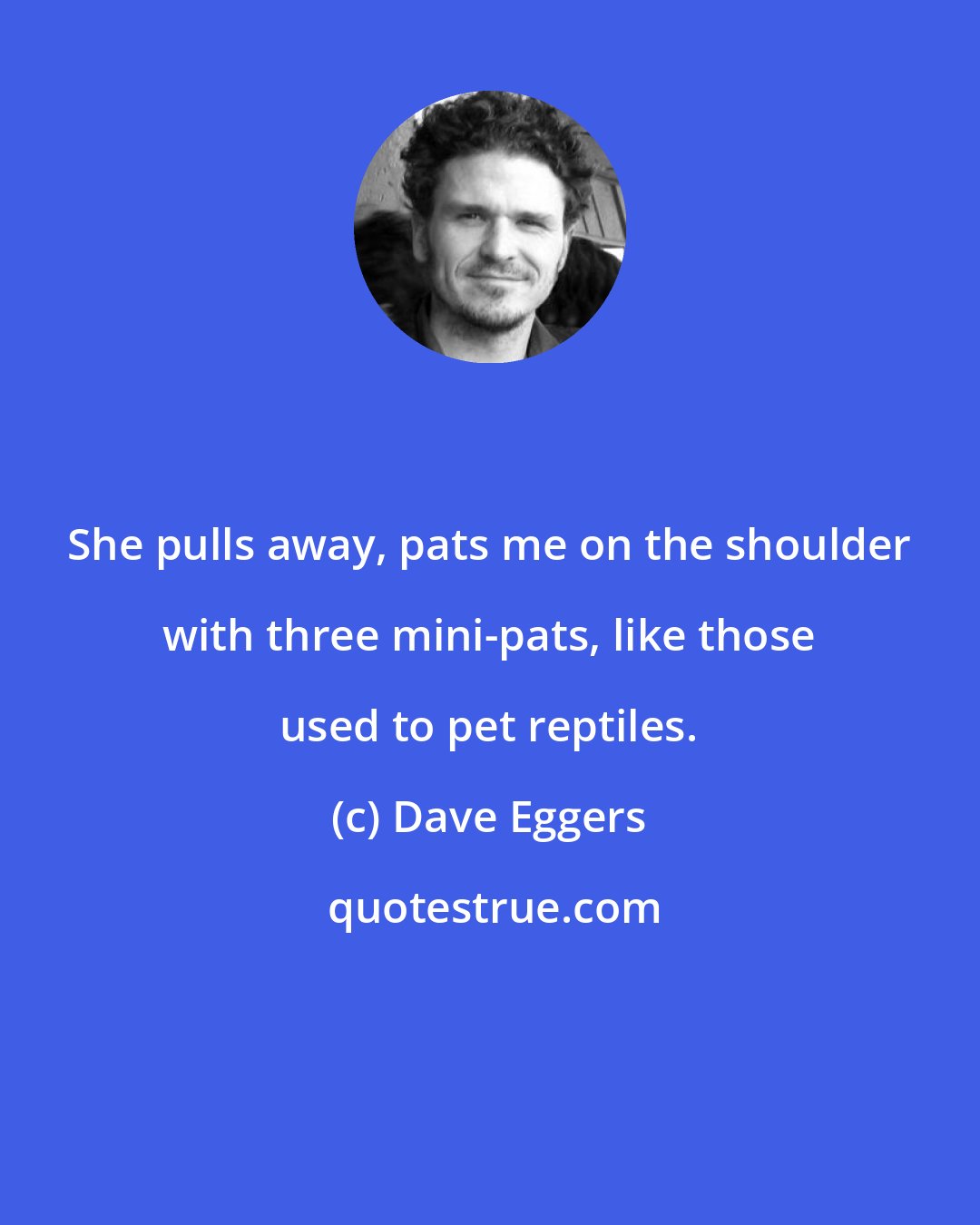 Dave Eggers: She pulls away, pats me on the shoulder with three mini-pats, like those used to pet reptiles.