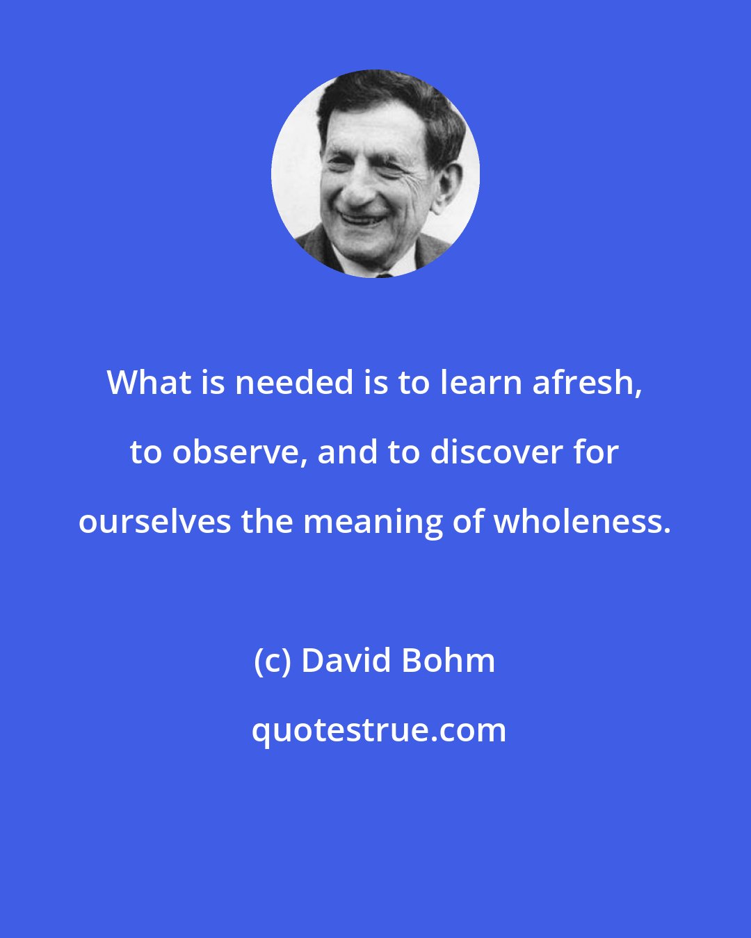 David Bohm: What is needed is to learn afresh, to observe, and to discover for ourselves the meaning of wholeness.