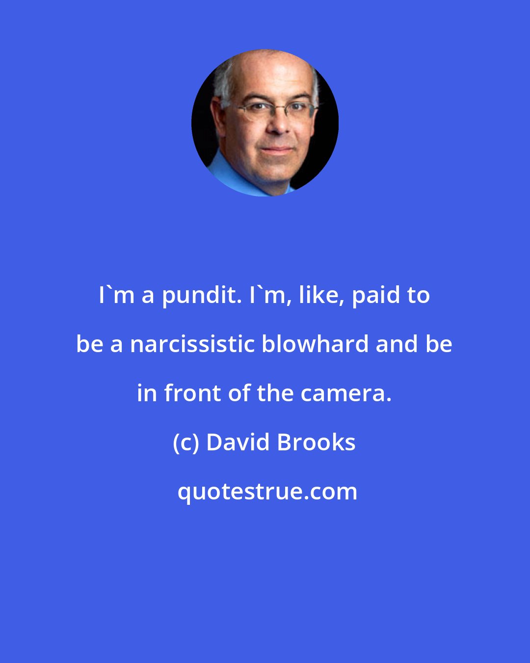 David Brooks: I'm a pundit. I'm, like, paid to be a narcissistic blowhard and be in front of the camera.