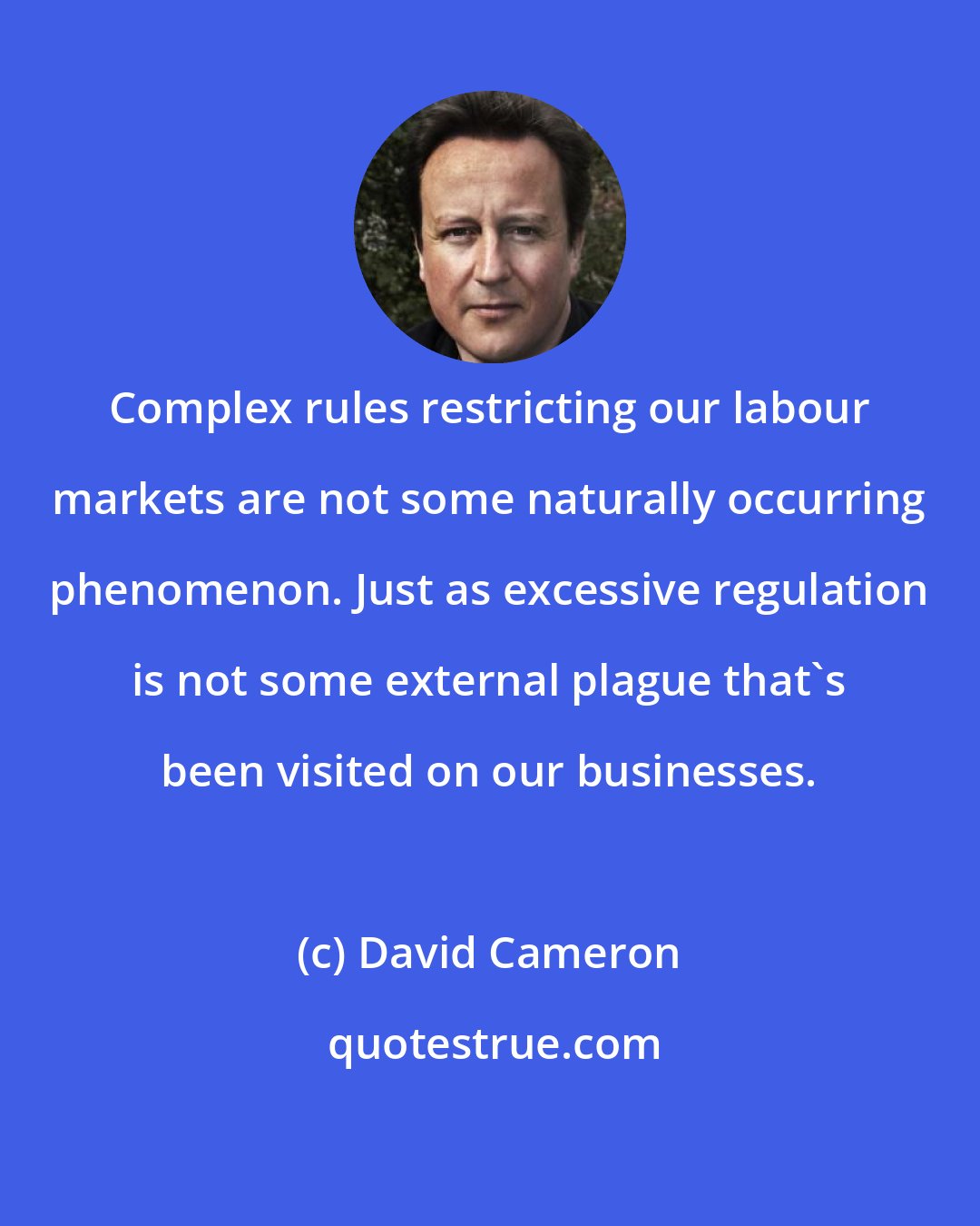 David Cameron: Complex rules restricting our labour markets are not some naturally occurring phenomenon. Just as excessive regulation is not some external plague that's been visited on our businesses.