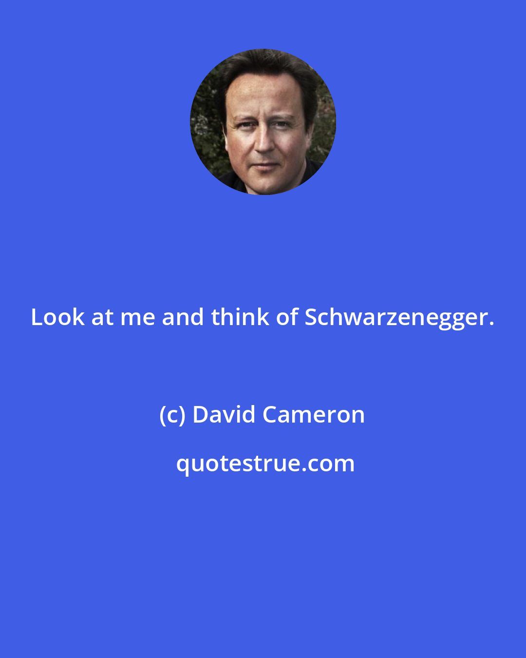 David Cameron: Look at me and think of Schwarzenegger.