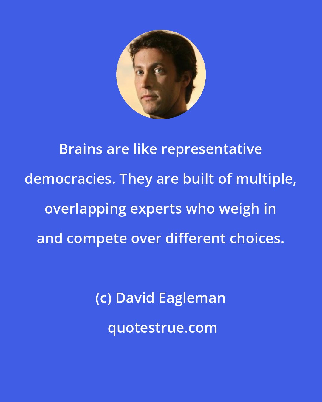 David Eagleman: Brains are like representative democracies. They are built of multiple, overlapping experts who weigh in and compete over different choices.