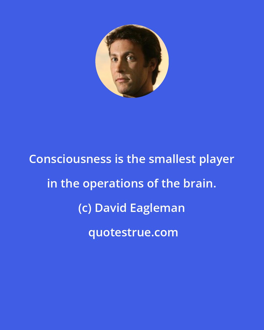 David Eagleman: Consciousness is the smallest player in the operations of the brain.